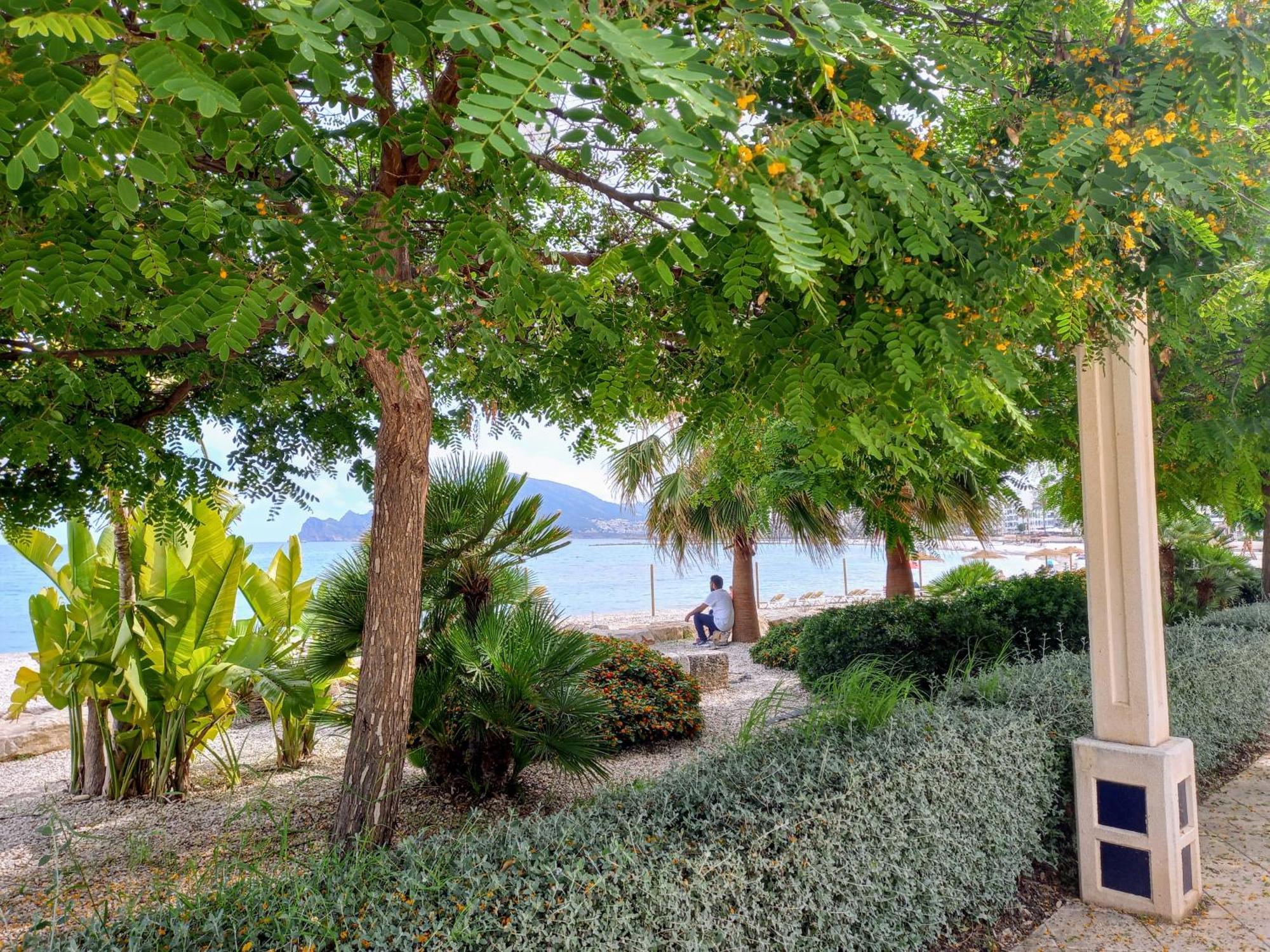 Townhouse Los Olivos M Altea Dış mekan fotoğraf